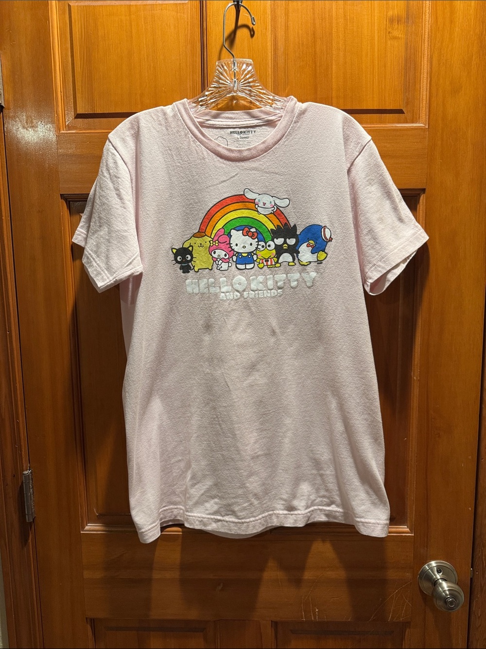 Sanrio Hello Kitty and Friends Pastel Pink Rainbow Friends Graphic Tee Size M